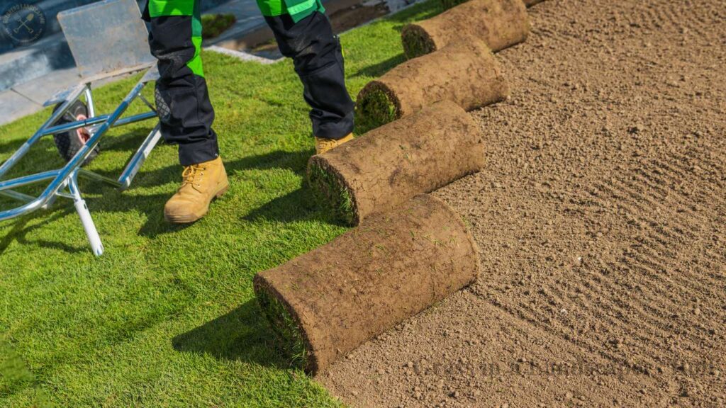 Grass in a Landscapers Roll